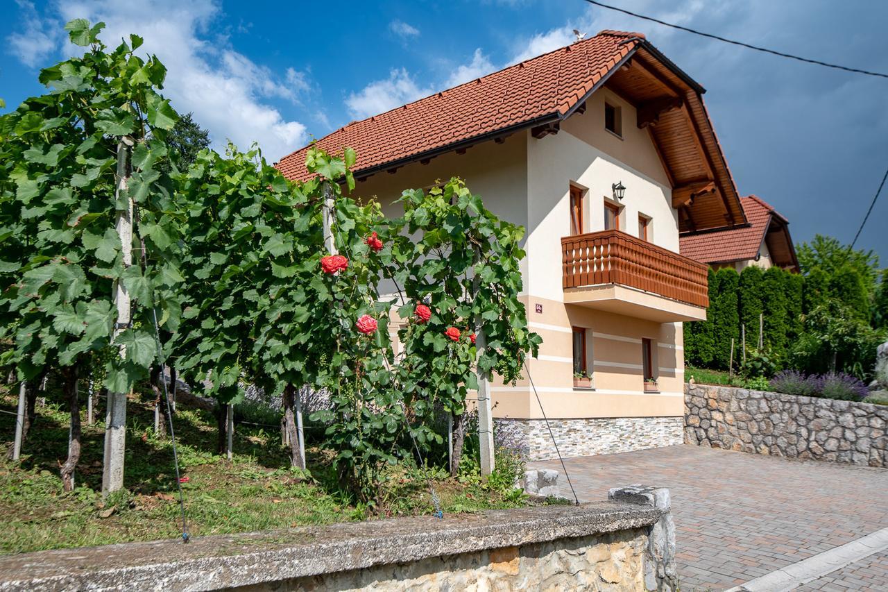Vineyard Cottage Pod Piramido Dobrnic Buitenkant foto