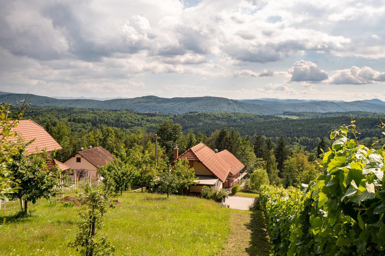 Vineyard Cottage Pod Piramido Dobrnic Buitenkant foto