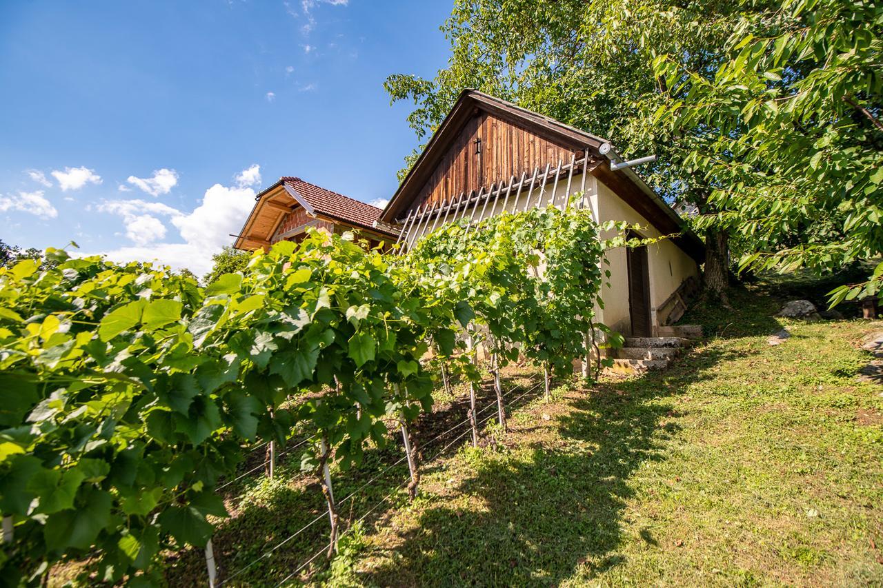 Vineyard Cottage Pod Piramido Dobrnic Buitenkant foto